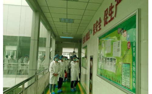 值公司成立十周年慶典，公司贊助萬名老人免費(fèi)游寧夏系列活動