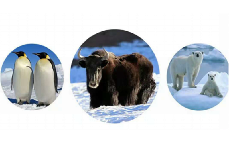 牦?！咴?>
								</div>
															
							<div   id=